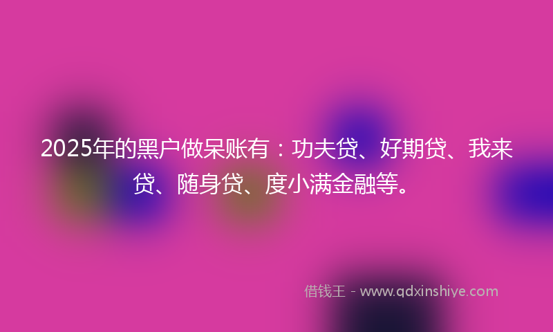 2025年的黑户做呆账有：功夫贷、好期贷、我来贷、随身贷、度小满金融等。