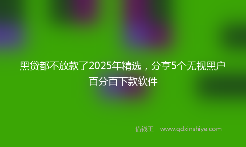 黑贷都不放款了2025年精选，分享5个无视黑户百分百下款软件