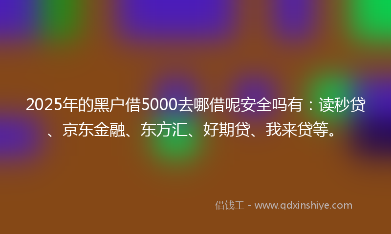 2025年的黑户借5000去哪借呢安全吗有：读秒贷、京东金融、东方汇、好期贷、我来贷等。