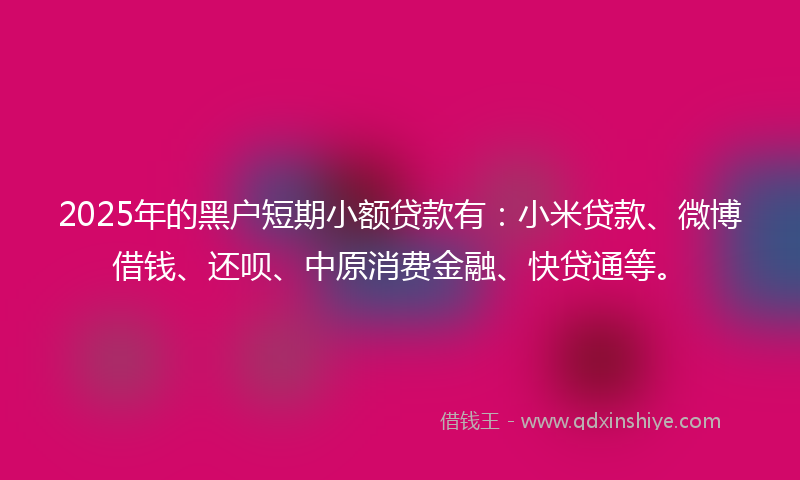 2025年的黑户短期小额贷款有：小米贷款、微博借钱、还呗、中原消费金融、快贷通等。