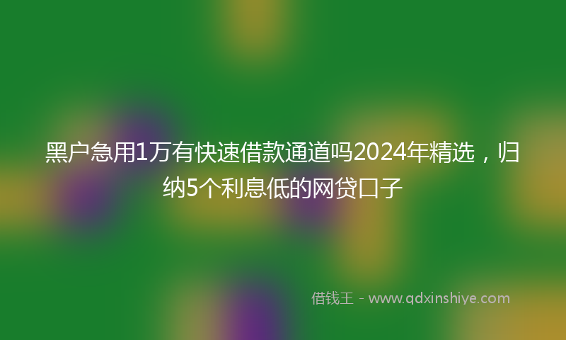 黑户急用1万有快速借款通道吗2024年精选，归纳5个利息低的网贷口子