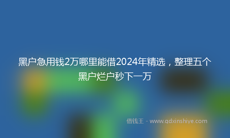 黑户急用钱2万哪里能借2024年精选，整理五个黑户烂户秒下一万
