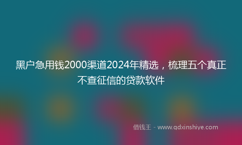 黑户急用钱2000渠道2024年精选，梳理五个真正不查征信的贷款软件