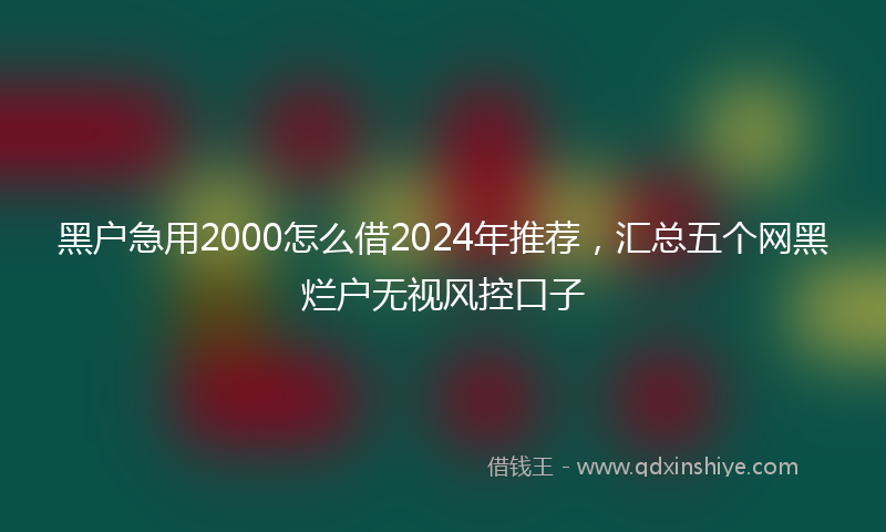 黑户急用2000怎么借2024年推荐，汇总五个网黑烂户无视风控口子