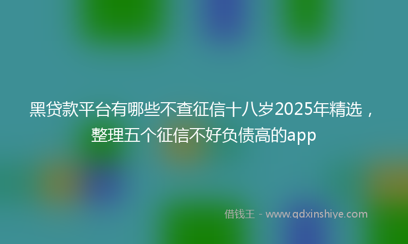 黑贷款平台有哪些不查征信十八岁2025年精选，整理五个征信不好负债高的app