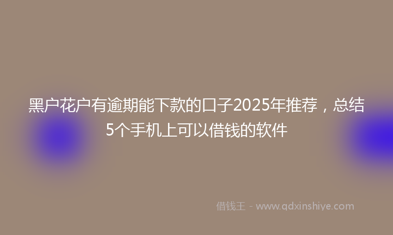 黑户花户有逾期能下款的口子2025年推荐，总结5个手机上可以借钱的软件