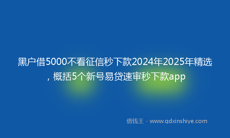 黑户借5000不看征信秒下款2024年2025年精选，概括5个新号易贷速审秒下款app