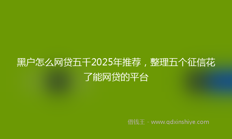 黑户怎么网贷五千2025年推荐，整理五个征信花了能网贷的平台