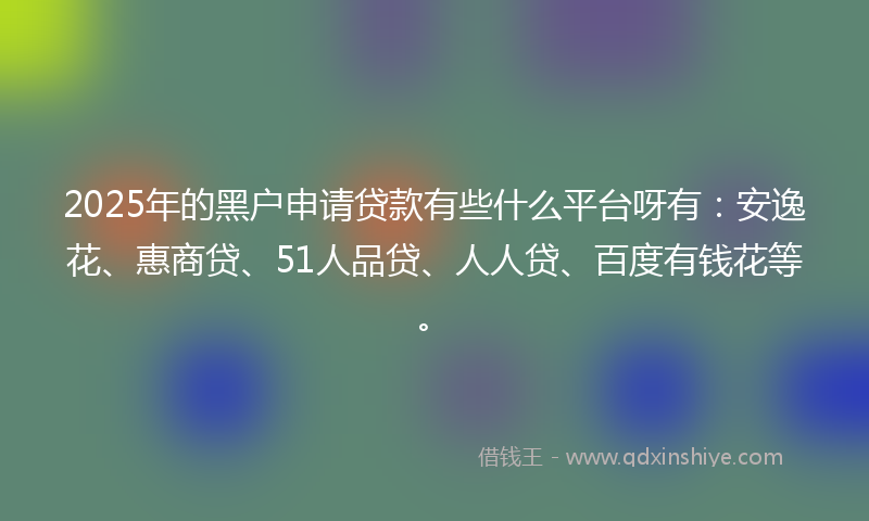 2025年的黑户申请贷款有些什么平台呀有：安逸花、惠商贷、51人品贷、人人贷、百度有钱花等。