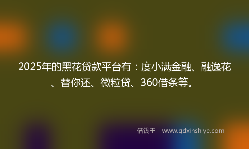 2025年的黑花贷款平台有：度小满金融、融逸花、替你还、微粒贷、360借条等。
