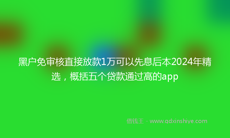 黑户免审核直接放款1万可以先息后本2024年精选，概括五个贷款通过高的app