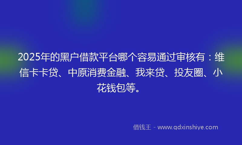 2025年的黑户借款平台哪个容易通过审核有：维信卡卡贷、中原消费金融、我来贷、投友圈、小花钱包等。