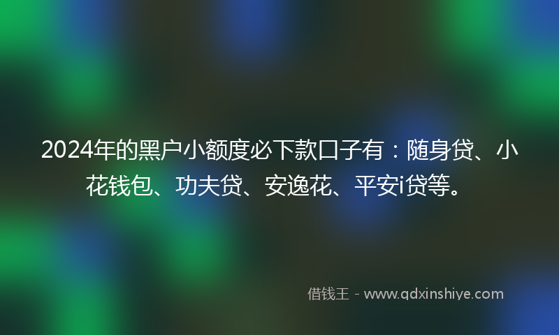 2024年的黑户小额度必下款口子有：随身贷、小花钱包、功夫贷、安逸花、平安i贷等。