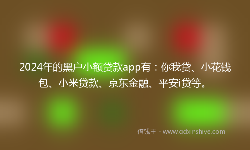 2024年的黑户小额贷款app有：你我贷、小花钱包、小米贷款、京东金融、平安i贷等。