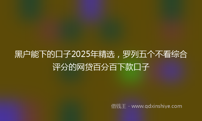 黑户能下的口子2025年精选，罗列五个不看综合评分的网贷百分百下款口子