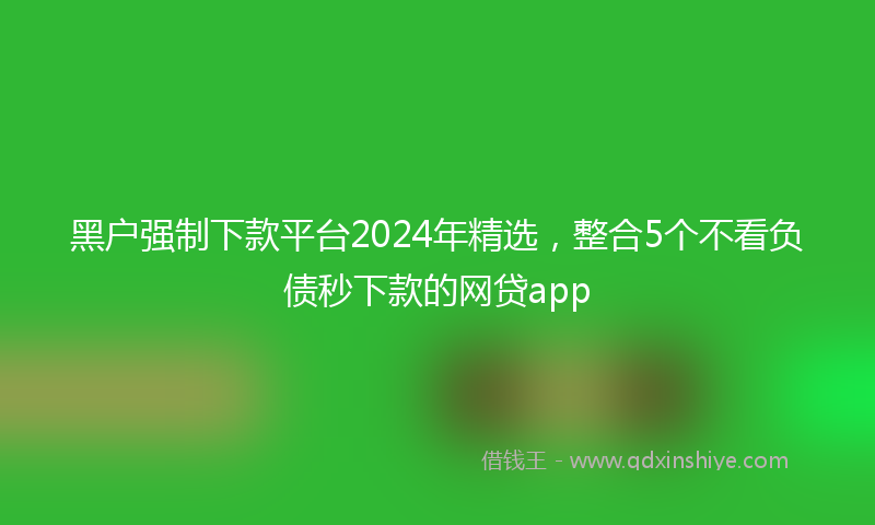 黑户强制下款平台2024年精选，整合5个不看负债秒下款的网贷app
