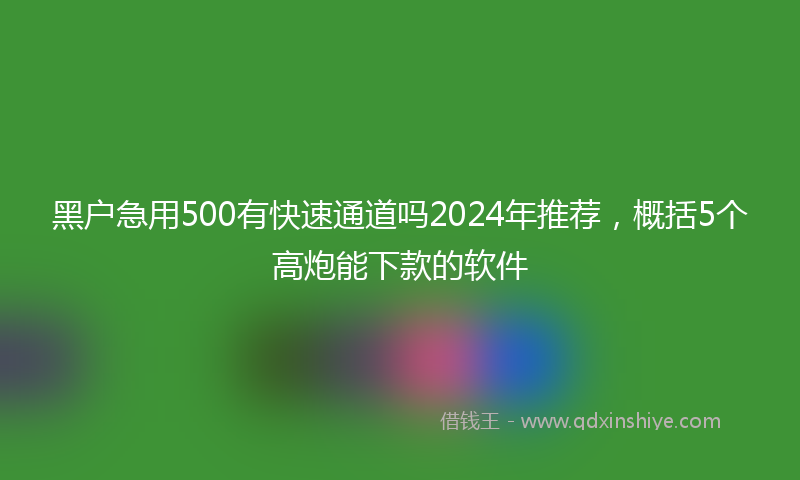 黑户急用500有快速通道吗2024年推荐，概括5个高炮能下款的软件