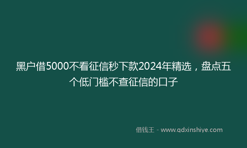 黑户借5000不看征信秒下款2024年精选，盘点五个低门槛不查征信的口子