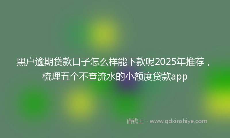黑户逾期贷款口子怎么样能下款呢2025年推荐，梳理五个不查流水的小额度贷款app