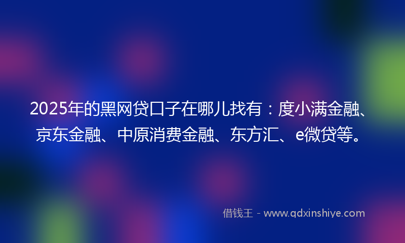 2025年的黑网贷口子在哪儿找有：度小满金融、京东金融、中原消费金融、东方汇、e微贷等。