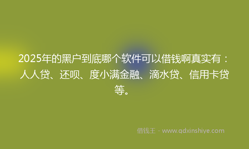 2025年的黑户到底哪个软件可以借钱啊真实有：人人贷、还呗、度小满金融、滴水贷、信用卡贷等。