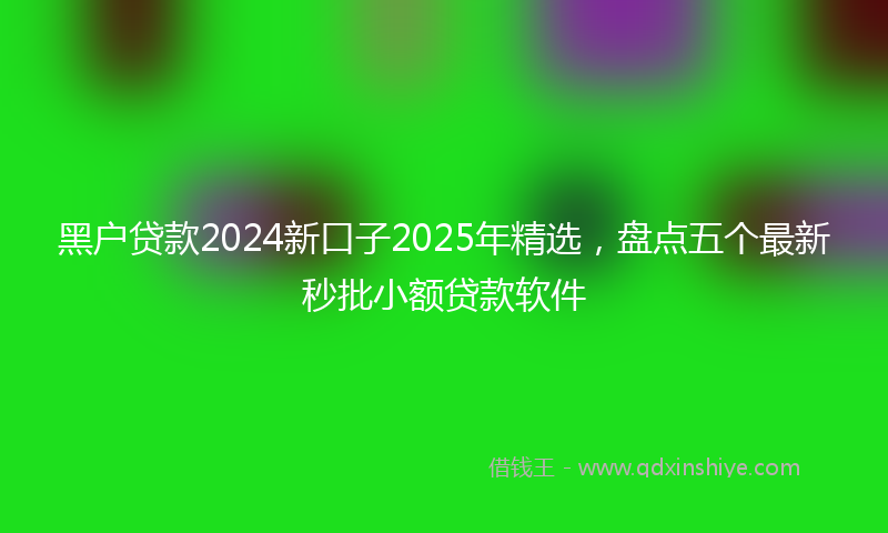 黑户贷款2024新口子2025年精选，盘点五个最新秒批小额贷款软件
