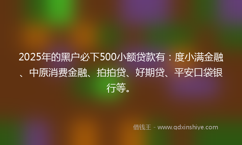 2025年的黑户必下500小额贷款有：度小满金融、中原消费金融、拍拍贷、好期贷、平安口袋银行等。