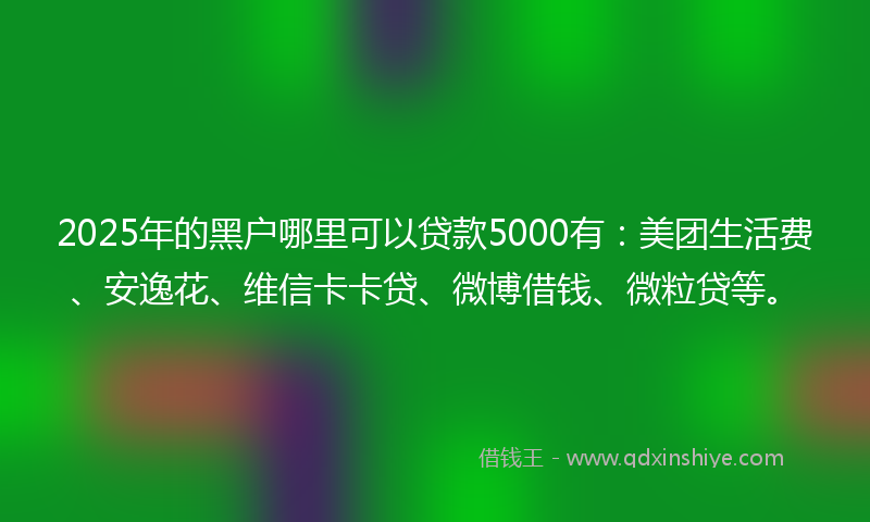 2025年的黑户哪里可以贷款5000有：美团生活费、安逸花、维信卡卡贷、微博借钱、微粒贷等。