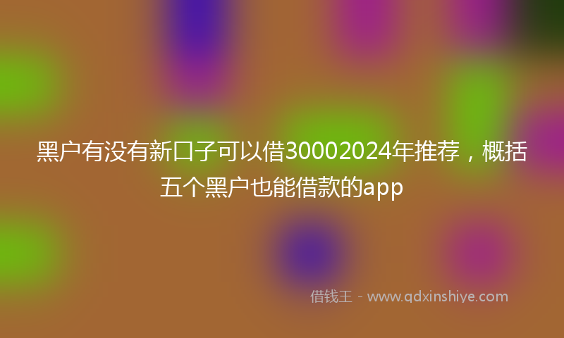 黑户有没有新口子可以借30002024年推荐，概括五个黑户也能借款的app