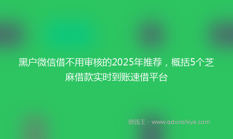 黑户微信借不用审核的2025年推荐，概括5个芝麻借款实时到账速借平台