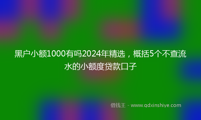 黑户小额1000有吗2024年精选，概括5个不查流水的小额度贷款口子