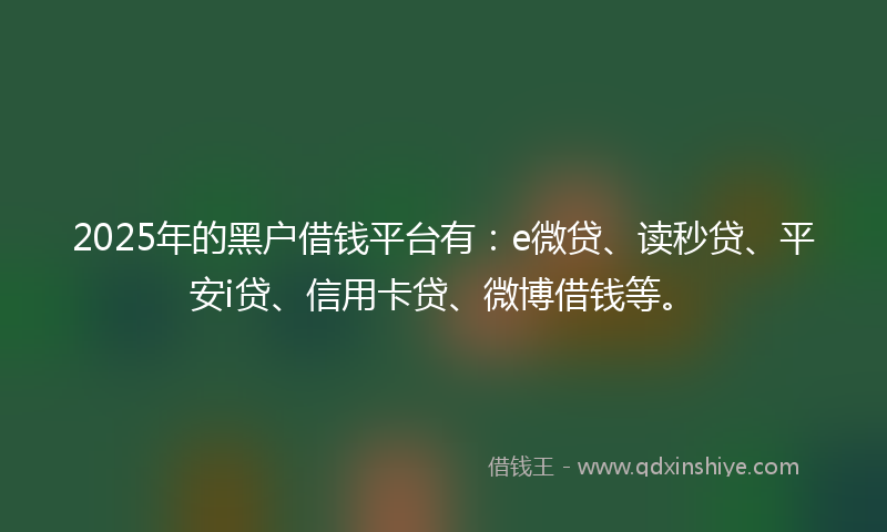 2025年的黑户借钱平台有：e微贷、读秒贷、平安i贷、信用卡贷、微博借钱等。