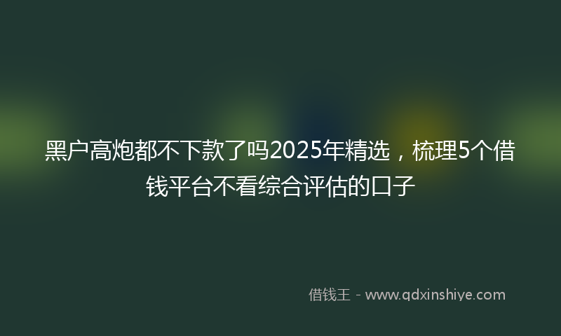 黑户高炮都不下款了吗2025年精选，梳理5个借钱平台不看综合评估的口子