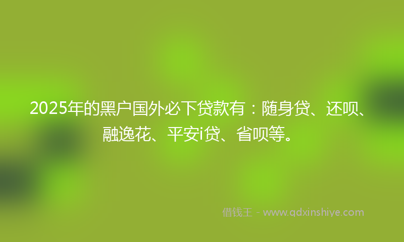 2025年的黑户国外必下贷款有：随身贷、还呗、融逸花、平安i贷、省呗等。