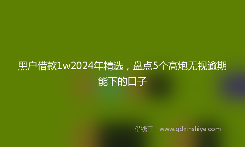 黑户借款1w2024年精选，盘点5个高炮无视逾期能下的口子
