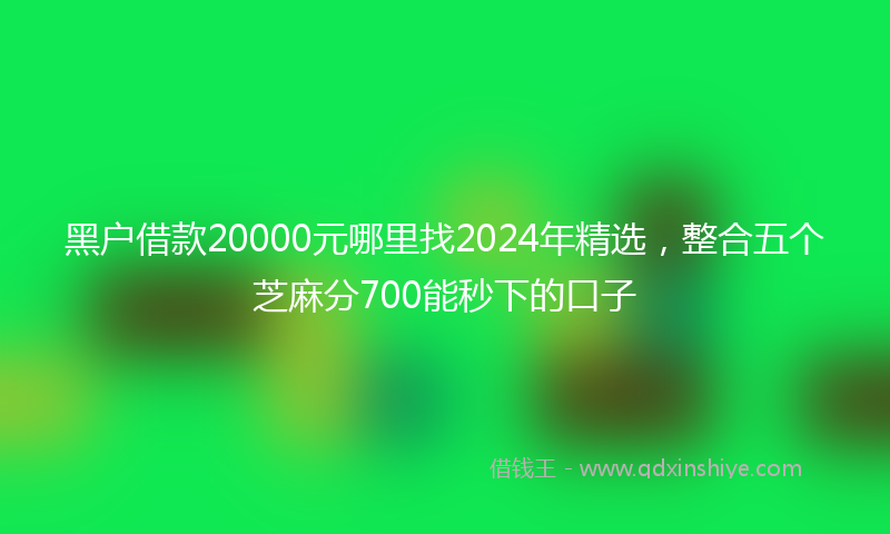 黑户借款20000元哪里找2024年精选，整合五个芝麻分700能秒下的口子