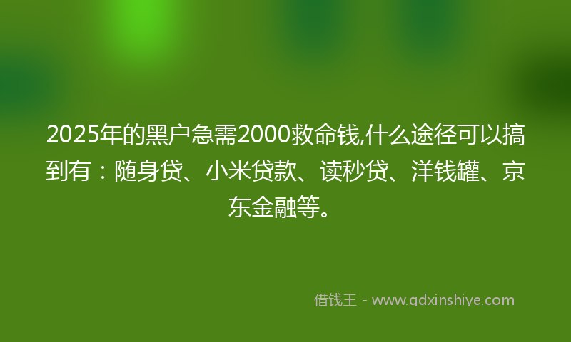 2025年的黑户急需2000救命钱,什么途径可以搞到有：随身贷、小米贷款、读秒贷、洋钱罐、京东金融等。