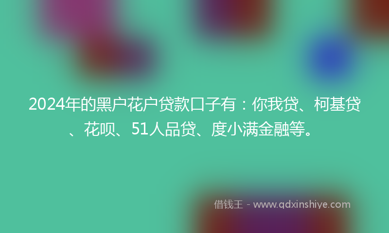2024年的黑户花户贷款口子有：你我贷、柯基贷、花呗、51人品贷、度小满金融等。