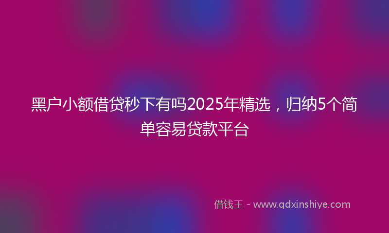 黑户小额借贷秒下有吗2025年精选，归纳5个简单容易贷款平台