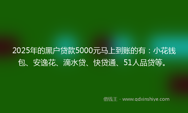2025年的黑户贷款5000元马上到账的有：小花钱包、安逸花、滴水贷、快贷通、51人品贷等。