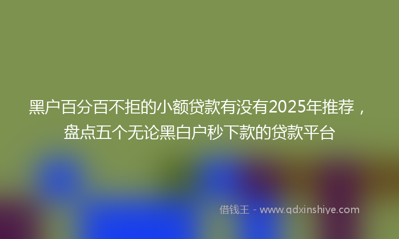 黑户百分百不拒的小额贷款有没有2025年推荐，盘点五个无论黑白户秒下款的贷款平台