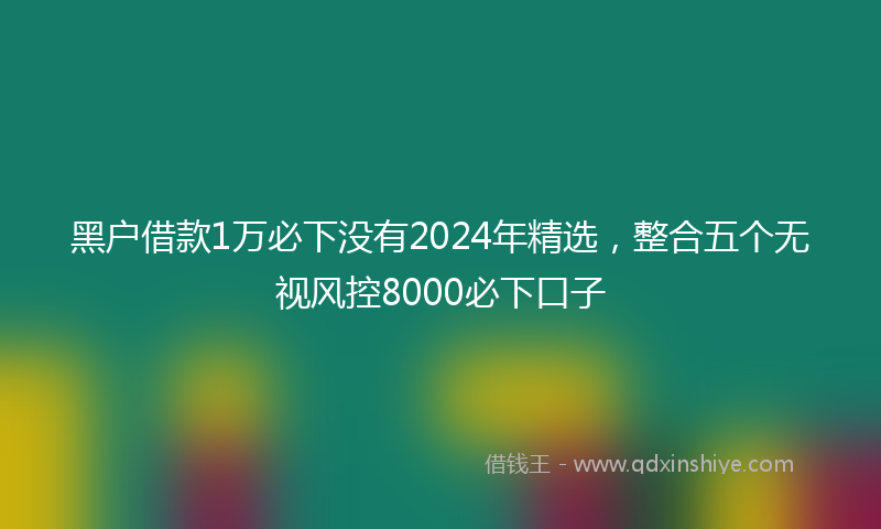 黑户借款1万必下没有2024年精选，整合五个无视风控8000必下口子