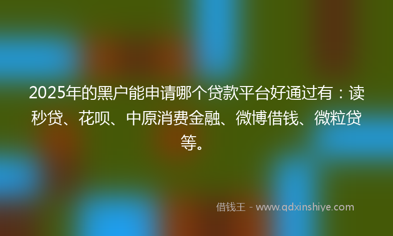 2025年的黑户能申请哪个贷款平台好通过有：读秒贷、花呗、中原消费金融、微博借钱、微粒贷等。