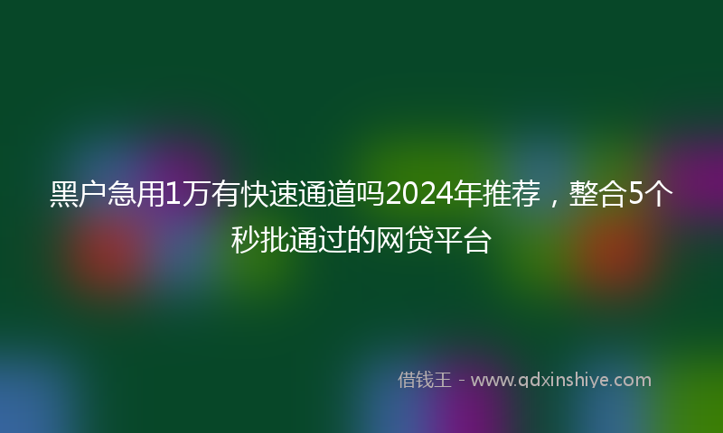 黑户急用1万有快速通道吗2024年推荐，整合5个秒批通过的网贷平台