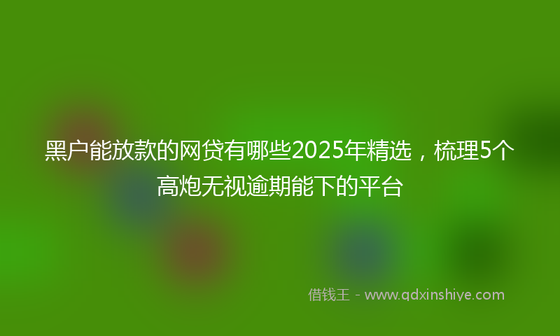 黑户能放款的网贷有哪些2025年精选，梳理5个高炮无视逾期能下的平台