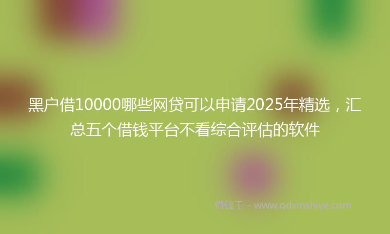 黑户借10000哪些网贷可以申请2025年精选，汇总五个借钱平台不看综合评估的软件