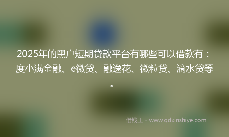 2025年的黑户短期贷款平台有哪些可以借款有：度小满金融、e微贷、融逸花、微粒贷、滴水贷等。