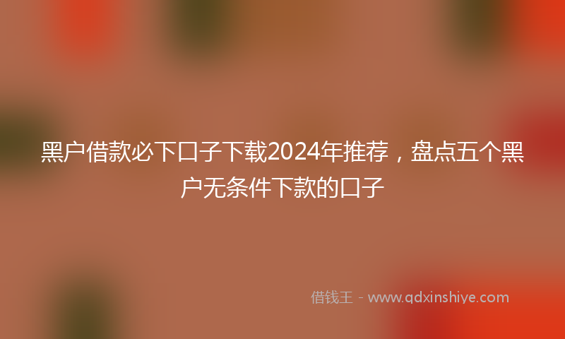 黑户借款必下口子下载2024年推荐，盘点五个黑户无条件下款的口子