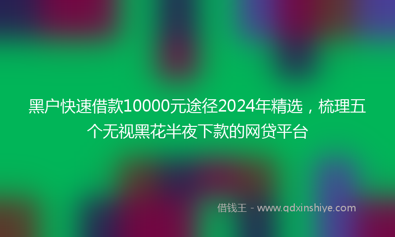 黑户快速借款10000元途径2024年精选，梳理五个无视黑花半夜下款的网贷平台