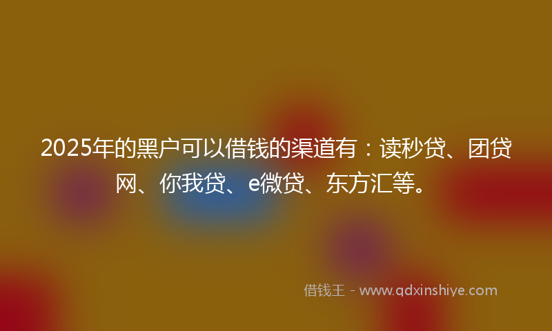 2025年的黑户可以借钱的渠道有：读秒贷、团贷网、你我贷、e微贷、东方汇等。